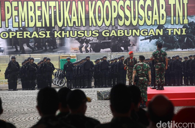 Setelah Pasukan 'Super Elite' TNI Diaktifkan Jokowi