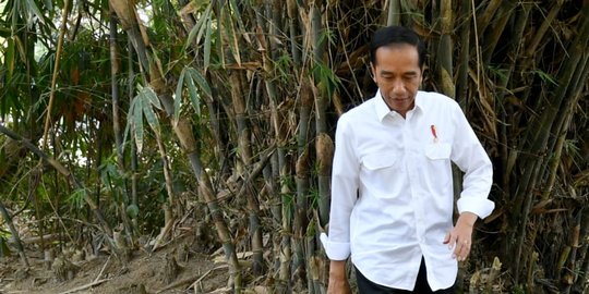 Jokowi Soal Penyetaraan Gaji Kepala Desa : Tanyakan Mendagri