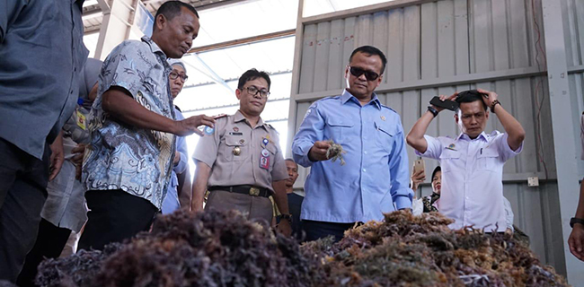 Di Tengah Virus Corona, Edhy Prabowo Lepas Ekspor Rumput Laut Ke China
