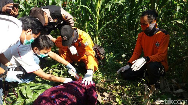 Mayat Perempuan Ditemukan di Bawah Tumpukan Pohon Jagung