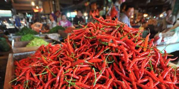Harga Cabai di Pekanbaru Kembali Naik