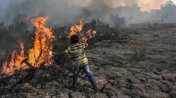 Lahan Ilalang Seluas 3 Ha Terbakar di Dekat Tol Kanci Cirebon