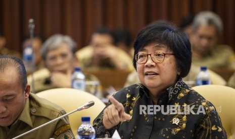 Menteri LHK: Pemerintah akan Ajukan PK Kasus Karhutla