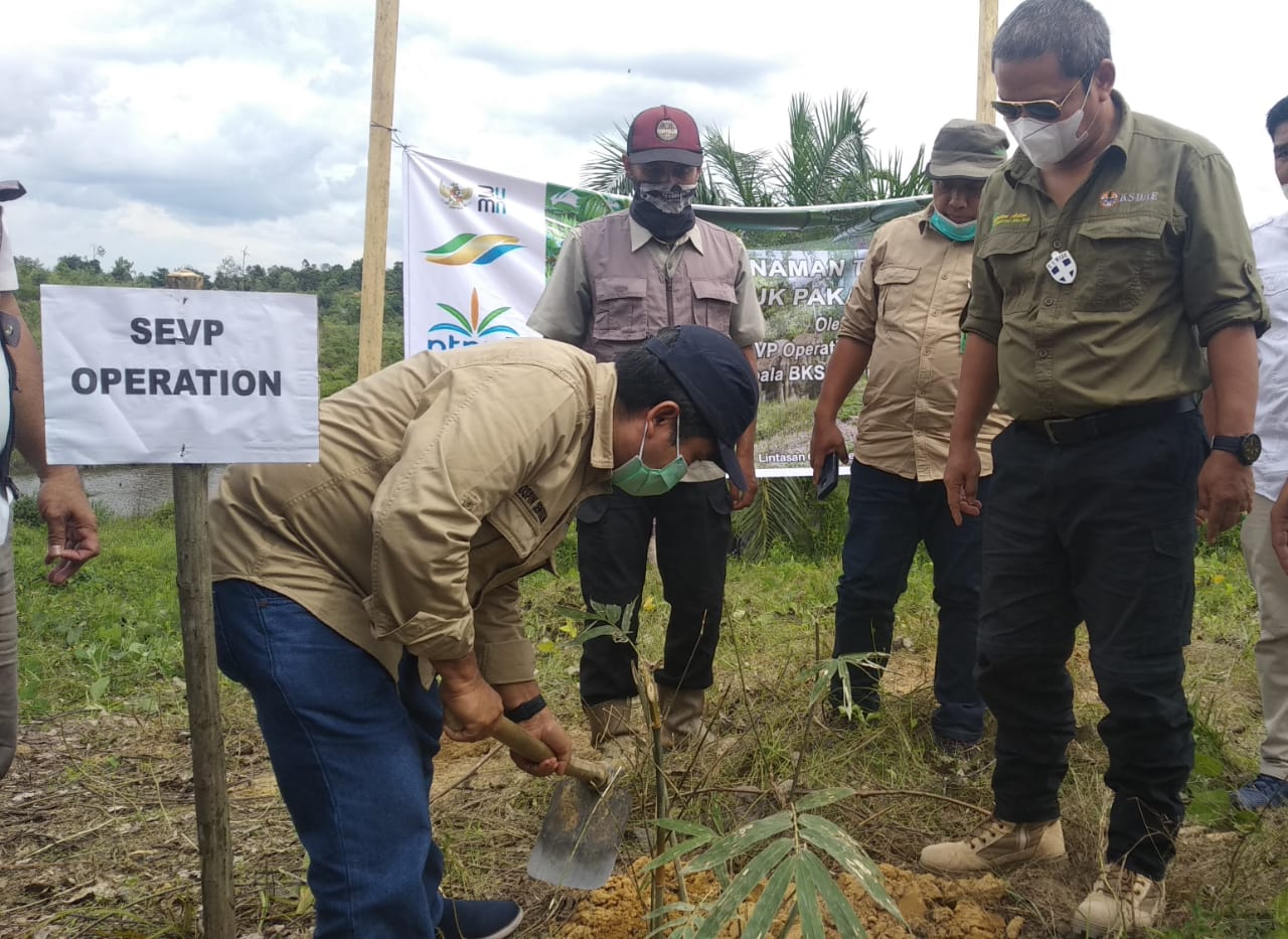 Sinergi PTPN V-BBKSDA Riau Bentuk Tim Mitigasi Gajah Sumatera