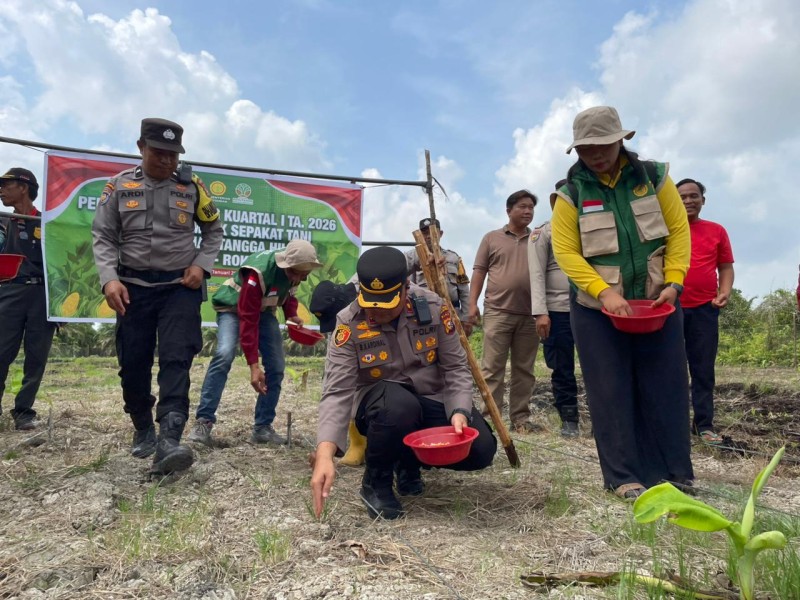 Dukung Asta Cita Presiden, Polsek Bangko Tanam Jagung Kuartal I Seluas 1 Ha