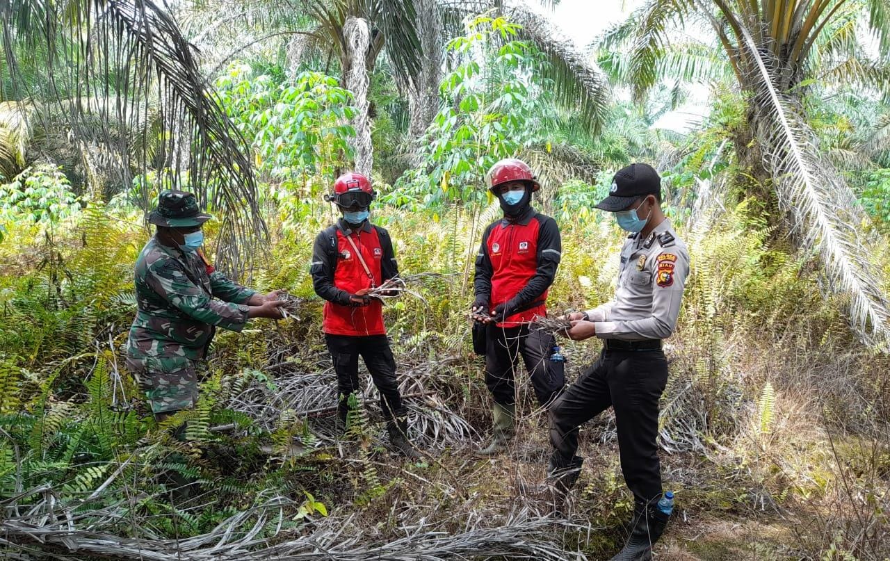 Polisi Teluk Meranti dan Tim Gabungan Lakukan Pemantauan ke Lokasi Rawan Karhutla
