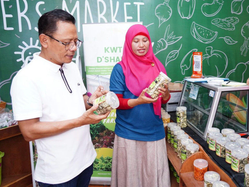 Olah Penampungan Sampah Jadi Smart Farming, Kelompok Wanita Tani Binaan PLN Mampu Hasilkan Ratusan Juta