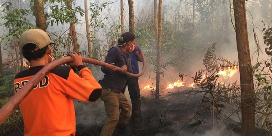 Sejak Awal Januari, Kebakaran Telah Hanguskan 497 Hektare Hutan di Riau