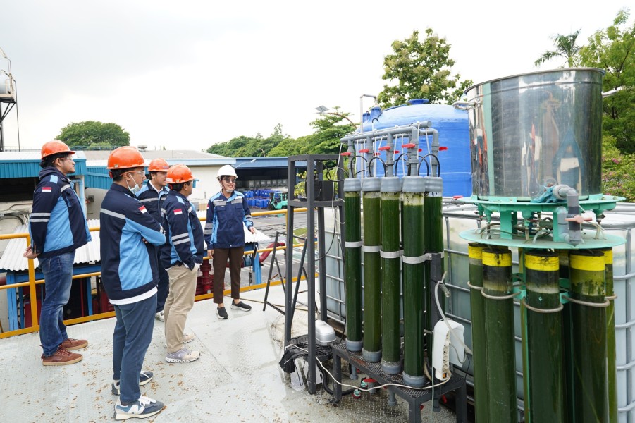 Dewan Komisaris dan Komite Audit PDC Tinjau Progres Proyek MicroAlgae