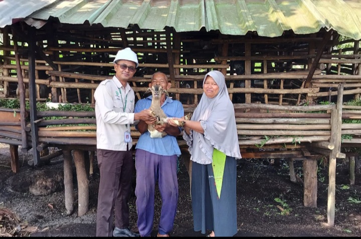 Apical Jalankan Program Budi Daya Kambing dan Pelatihan Penyusunan Rencana Bisnis untuk Kelompok Tani di Dumai