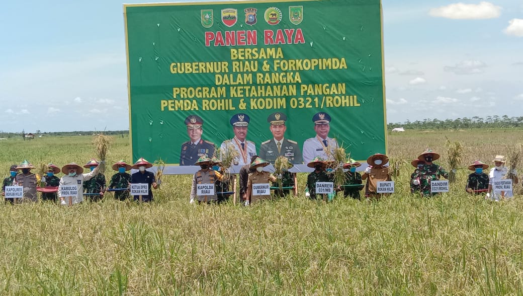 Danrem 031 WB Bersama Gubernur Dan Kapolda Riau Panen Raya Padi Di Rohil