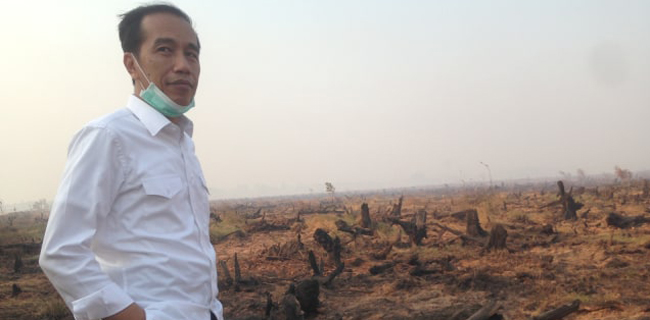 Penanggulangan Karhutla Telat, Jokowi: Kalau Sudah Begini Makan Biaya Banyak