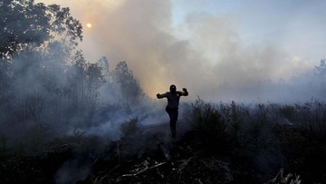 Lima Provinsi Siaga Darurat Kebakaran Hutan dan Lahan