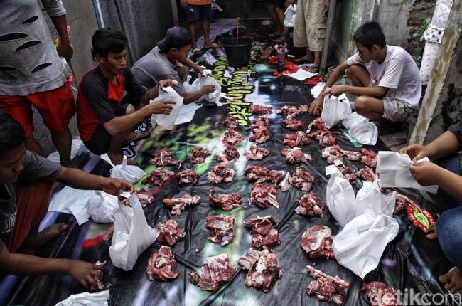 Fatwa MUI: Distribusi Daging Kurban dalam Bentuk Olahan Hukumnya Mubah