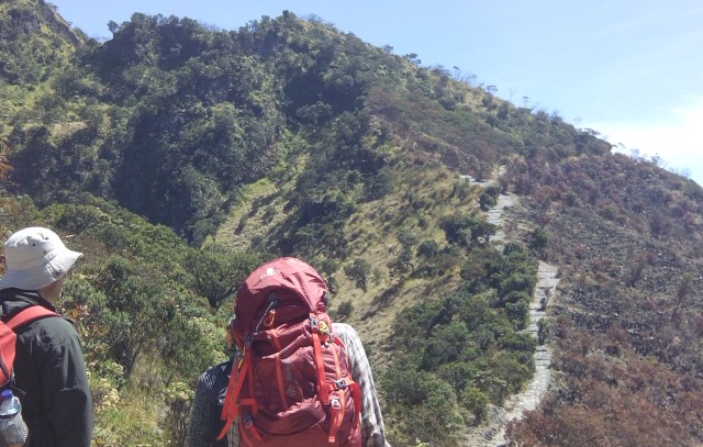 Belum Ditemukan, Pencarian Pendaki yang Hilang di Gunung Lawu Ditutup