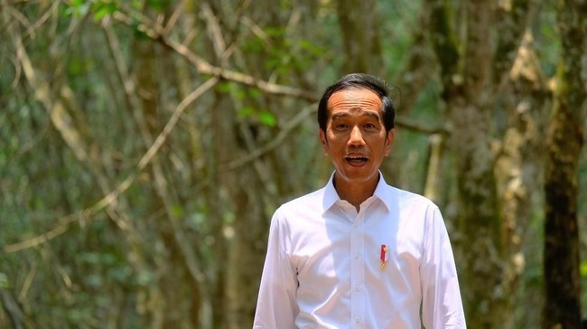 Jokowi Pamer 3 'Kartu Sakti': Ini dari Penelitian, Bukan Mengada-ada