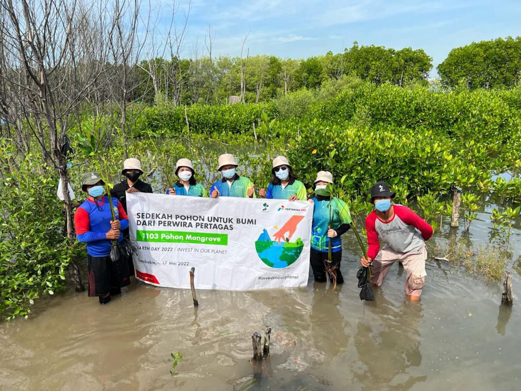 Subholding Gas Pertamina Tanam 1.103 Mangrove, Cegah Intrusi Air Laut di Pesisir Tambakrejo