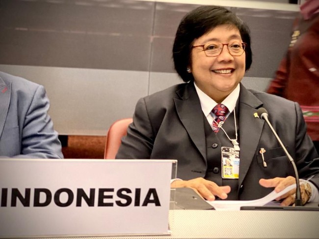 Indonesia Ditetapkan Jadi Tuan Rumah COP-4 Konvensi Minamata 2021