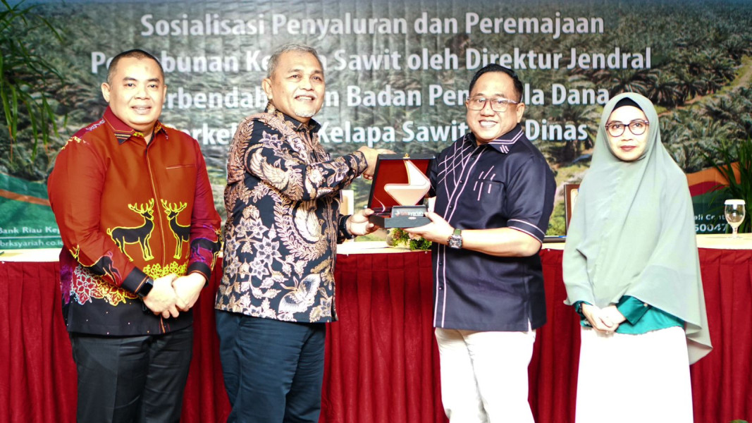 Sudah Rp 23,6 Miliar Tersalurkan, BRK Syariah Buka Peluang Besar untuk Petani Mendapatkan Dana Peremajaan Sawit   