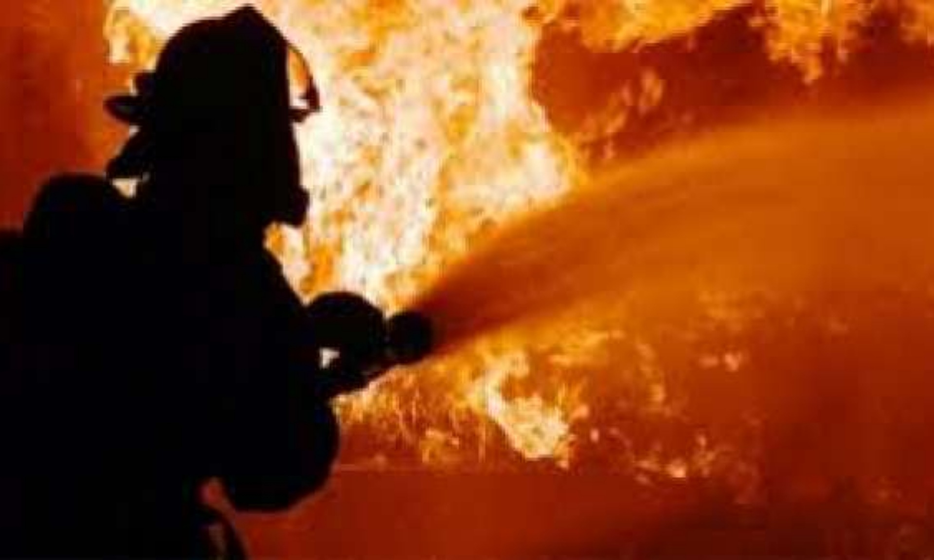 DPKP Catat 173 Kejadian Kebakaran Lahan di Pekanbaru