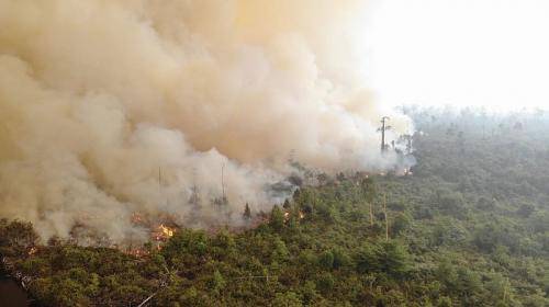 Satgas Karhutla Kesulitan Padamkan Api di Lahan Milik 2 Perusahaan Ini
