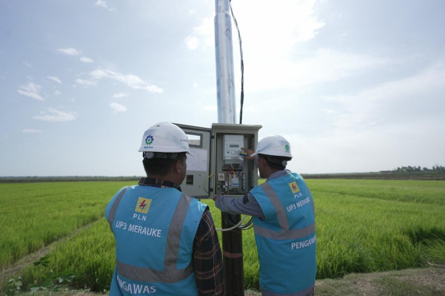 Keandalan dan Keterjangkauan Listrik Hadirkan Multiplier Effect bagi Masyarakat, PLN Raih Apresiasi Literasi Nusantara 2025