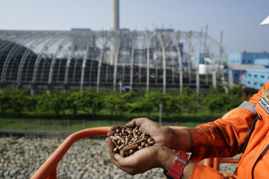 Di COP28 Dubai, PLN-Kemenkomarves Luncurkan Program STAB dan PERTIWI,  Kembangkan Biomassa di Tanah Air