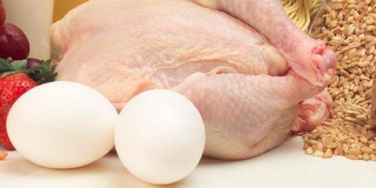 Kenaikan Harga Acuan Telur dan Daging Ayam Beri Kepastian Pengusaha