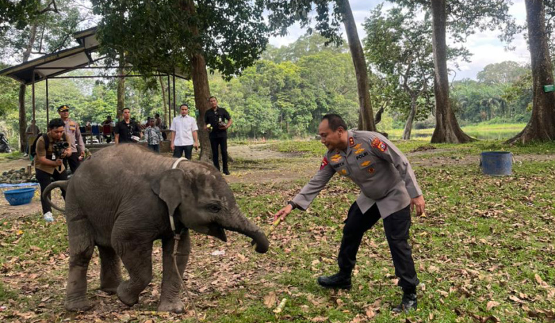 Sembari Patroli, Kapolda Riau Kunjungi Keluarga Gajah di TWA Buluh Cina