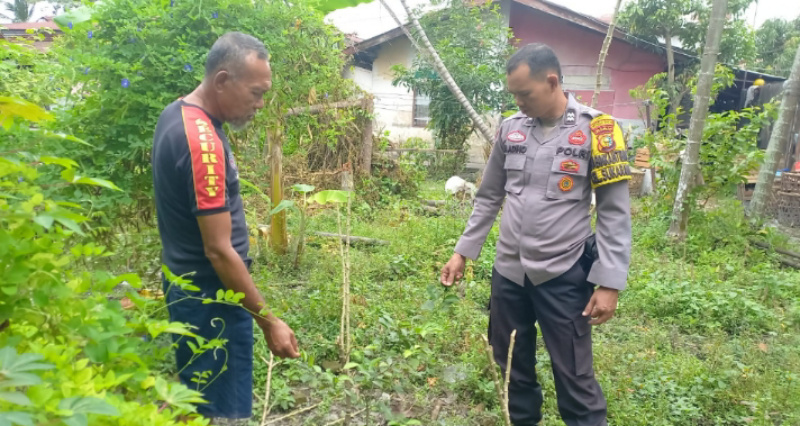 Giat DDS, Personel Bhabinkamtibmas Pekanbaru Kota Tinjau Pekarangan Pangan Bergizi