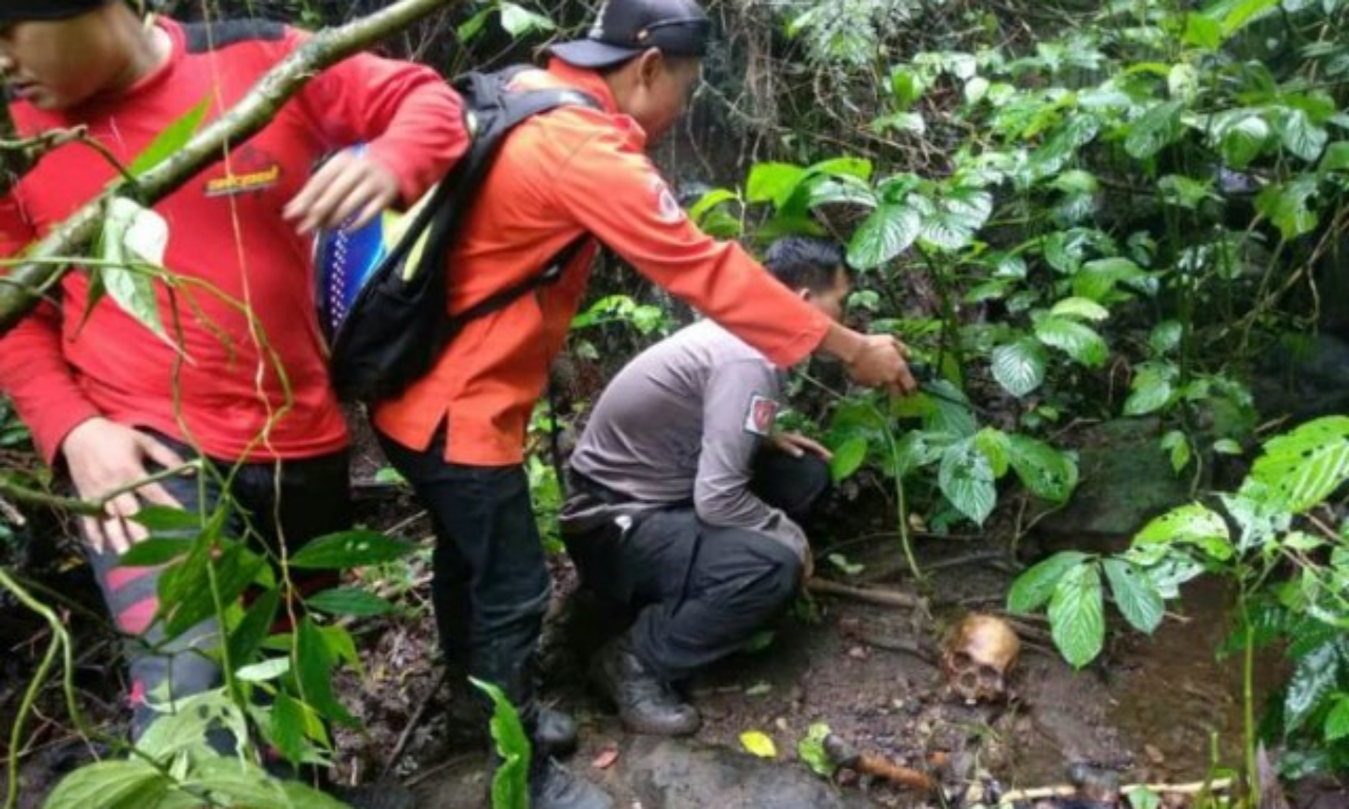 Ditemukan Kerangka Mayat di Bukit Bawah Gunung Slamet