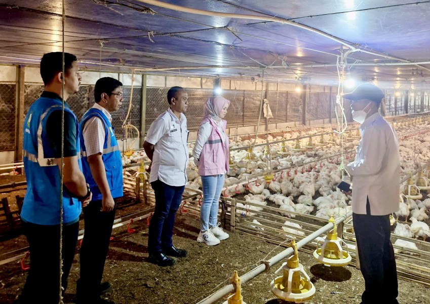 Sepanjang 2024, PLN Dorong Pertumbuhan Konsumsi Listrik hingga 17,78 TWh