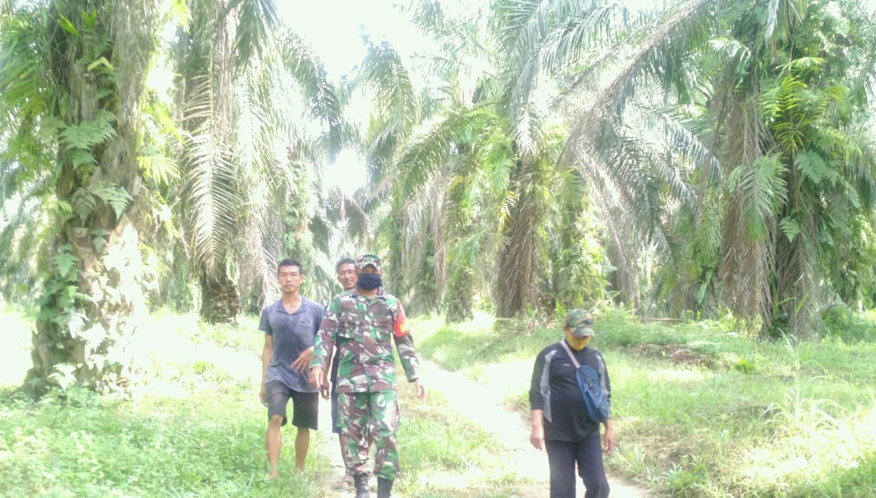 Cegah Karhutla, Babinsa Koramil 11/Tambusai Melaksanakan Patroli Bersama MPA