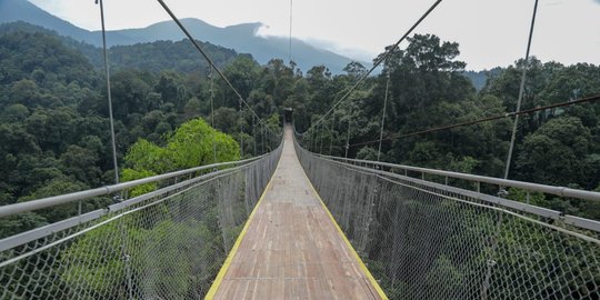 Indonesia Resmi Punya Jembatan Gantung Terpanjang Se-Asia Tenggara