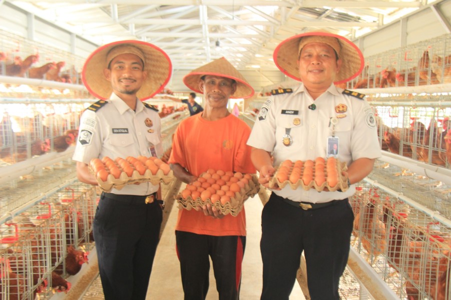 Dukung Ketahanan Pangan Nasional dengan Lahan Terbatas Lapas Pekanbaru Sukses Produksi 800 Telur per Hari