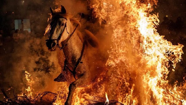 Festival Paling Ngeri di Spanyol: Naik Kuda Lompati Api
