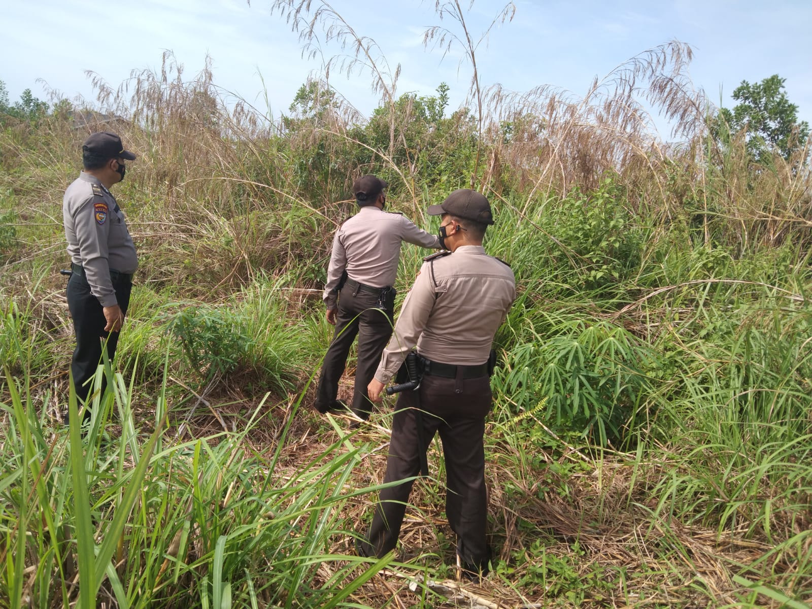 Polsek Pangkalan Kerinci Laksanankan Patroli Karhutla di Lahan Rawan Terbakar