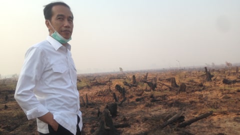 Penjelasan KLHK soal Jokowi Divonis Melawan Hukum di Kasus Karhutla