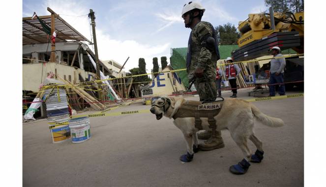 Cek Kerusakan Gempa Pakai Heli, 13 Orang Tewas di Meksiko