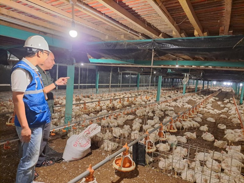 Pemerintah Putuskan Tarif Listrik Triwulan II 2026 Tidak Naik, PLN Siap Jaga Keandalan dan Kualitas Layanan di Tengah Dinamika Global