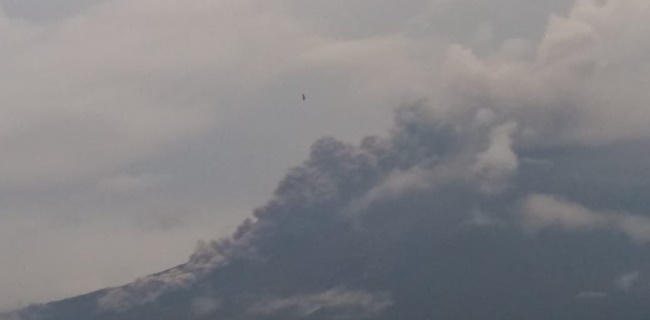 Waspada, Semeru Semburkan Awan Panas Sejauh 3 KM