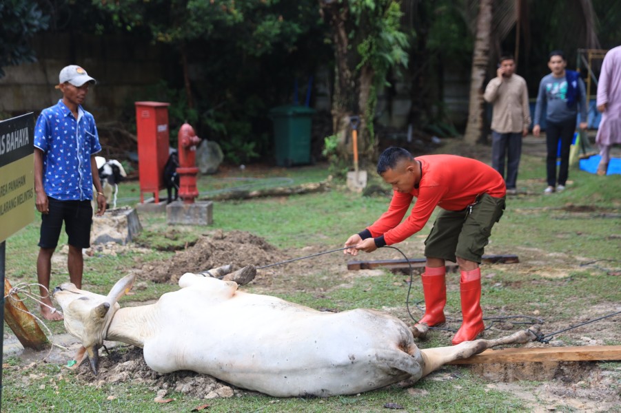 Idul Adha 1446 H, Masyarakat Sambut Bahagia Pembagian Paket Daging Kurban oleh PLN UID RKR