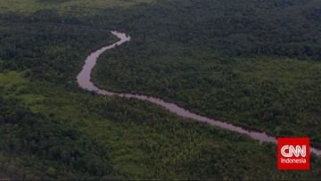 KLHK: Tutupan Hutan DAS Barito Kalsel Hilang 62,8 Persen