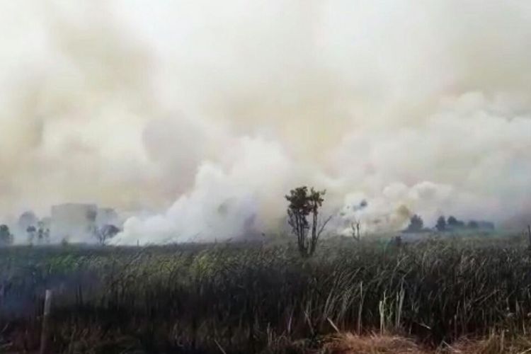 Gara-gara Kabut Asap Tebal, Minibus Keluar Jalur hingga Terperosok