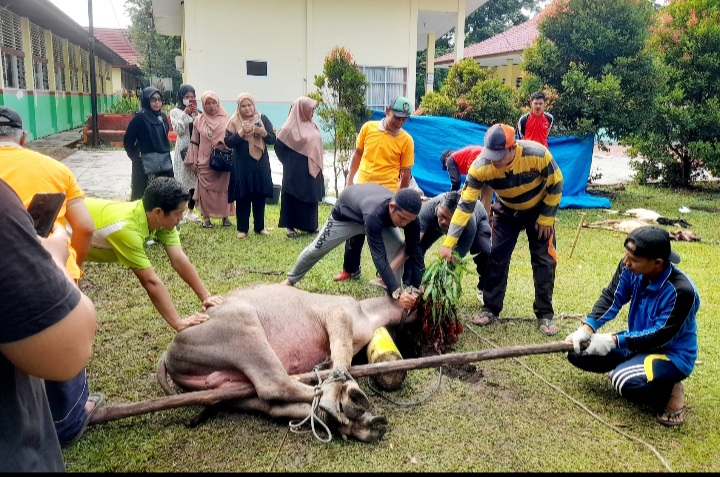 Disaksikan Sekdisdik Riau, SMAN 4 Pekanbaru Potong 6 Ekor Hewan Kurban