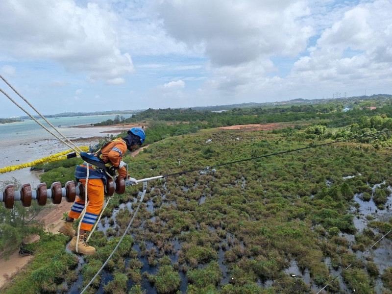Keandalan Listrik Meningkat, PLN Catat Penurunan Durasi dan Frekuensi Gangguan di 2024
