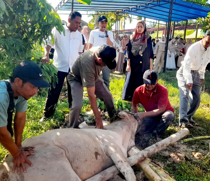 Idul Adha 1446 H, Yayasan Prospek Riau Sembelih 6 Ekor Sapi
