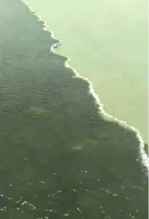 Ini Penyebab Air Laut di Bawah Jembatan Suramadu Beda Warna Seperti Terbelah
