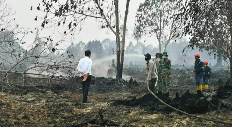 Alasan Keamanan, Presiden Jokowi Batal Kunjungi Kebakaran Lahan di Rimbo Panjang