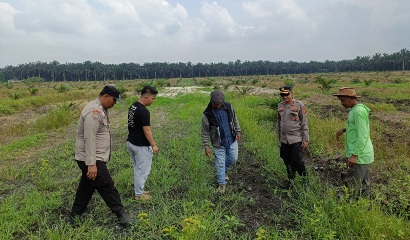 Kapolsek Kandis Dampingi Tim SDM Polda Riau Tinjau Lahan Jagung Kelompok Tani Ayu Makmur